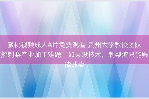 蜜桃视频成人A片免费观看 贵州大学教授团队破解刺梨产业加工难题：如果没技术，刺梨渣只能贱卖
