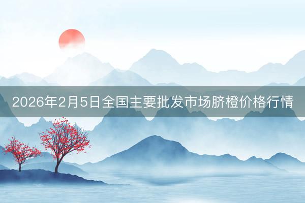 2026年2月5日全国主要批发市场脐橙价格行情