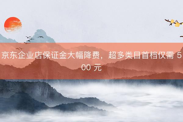 京东企业店保证金大幅降费，超多类目首档仅需 500 元