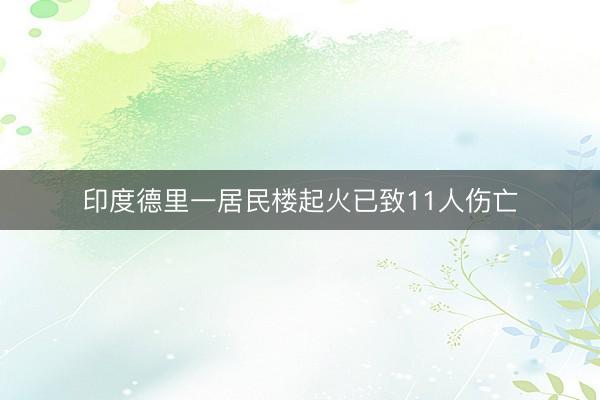 印度德里一居民楼起火已致11人伤亡