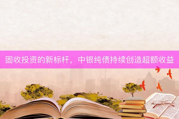 固收投资的新标杆，中银纯债持续创造超额收益
