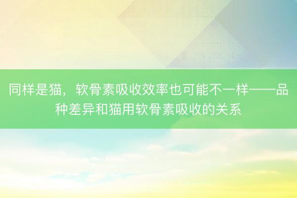 同样是猫，软骨素吸收效率也可能不一样——品种差异和猫用软骨素吸收的关系