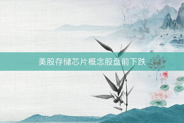 美股存储芯片概念股盘前下跌