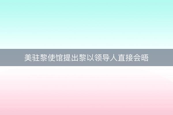 美驻黎使馆提出黎以领导人直接会晤