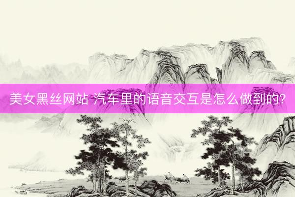 美女黑丝网站 汽车里的语音交互是怎么做到的？