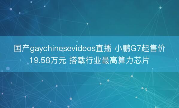 国产gaychinesevideos直播 小鹏G7起售价19.58万元 搭载行业最高算力芯片