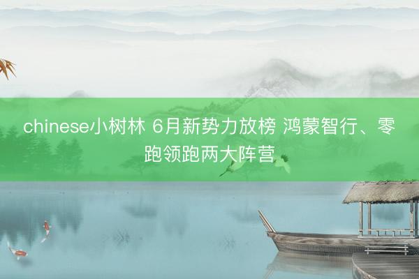 chinese小树林 6月新势力放榜 鸿蒙智行、零跑领跑两大阵营