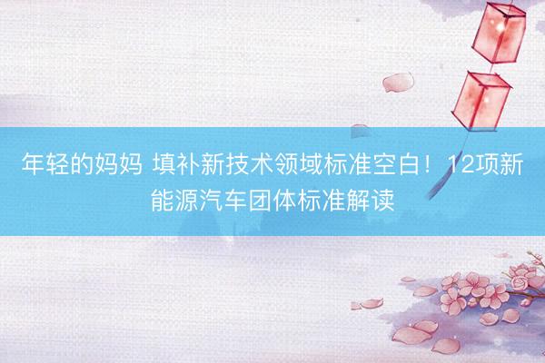 年轻的妈妈 填补新技术领域标准空白！12项新能源汽车团体标准解读