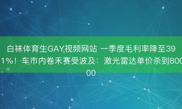 白袜体育生GAY视频网站 一季度毛利率降至39.1%！车市内卷禾赛受波及：激光雷达单价杀到800