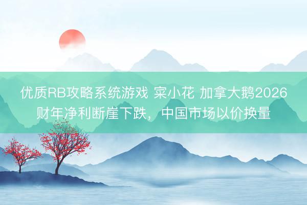 优质RB攻略系统游戏 寀小花 加拿大鹅2026财年净利断崖下跌，中国市场以价换量