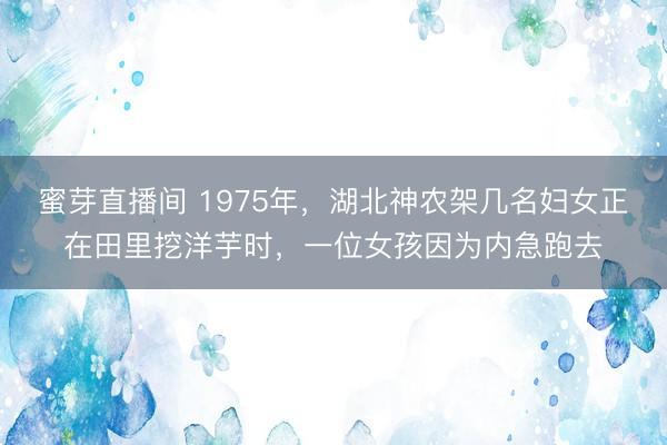 蜜芽直播间 1975年，湖北神农架几名妇女正在田里挖洋芋时，一位女孩因为内急跑去