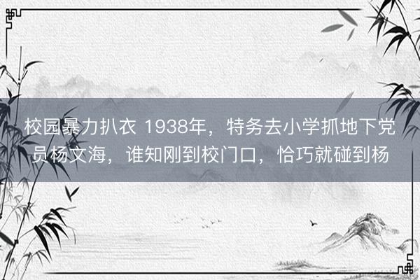 校园暴力扒衣 1938年，特务去小学抓地下党员杨文海，谁知刚到校门口，恰巧就碰到杨
