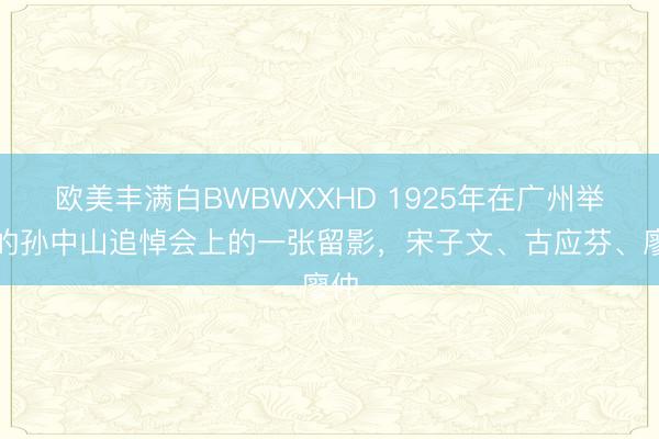 欧美丰满白BWBWXXHD 1925年在广州举行的孙中山追悼会上的一张留影，宋子文、古应芬、廖仲