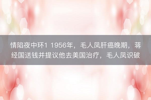 情陷夜中环1 1956年，毛人凤肝癌晚期，蒋经国送钱并提议他去美国治疗，毛人凤识破