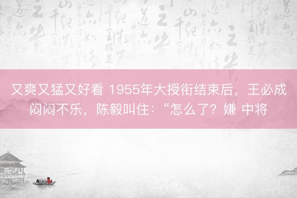 又爽又猛又好看 1955年大授衔结束后，王必成闷闷不乐，陈毅叫住：“怎么了？嫌 中将