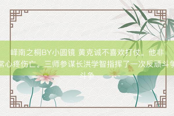峄南之桐BY小圆镜 黄克诚不喜欢打仗。他非常心疼伤亡。三师参谋长洪学智指挥了一次反顽斗争