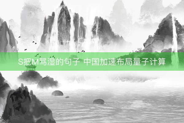 S把M骂湿的句子 中国加速布局量子计算
