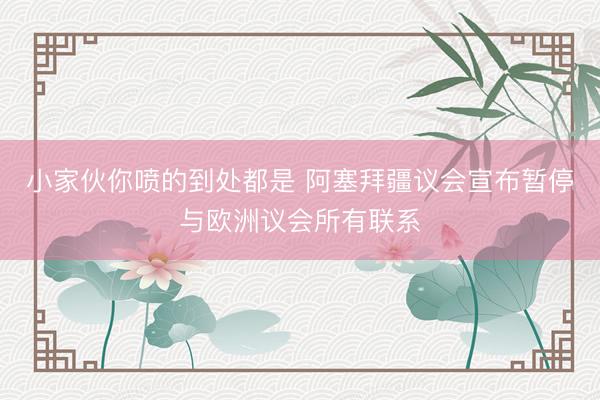 小家伙你喷的到处都是 阿塞拜疆议会宣布暂停与欧洲议会所有联系