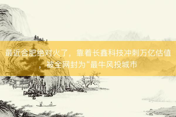 最近合肥绝对火了，靠着长鑫科技冲刺万亿估值，被全网封为“最牛风投城市