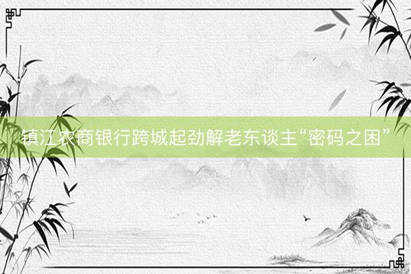 镇江农商银行跨城起劲解老东谈主“密码之困”