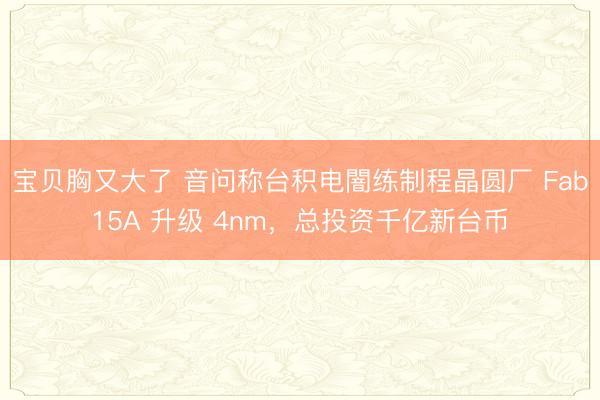 宝贝胸又大了 音问称台积电闇练制程晶圆厂 Fab15A 升级 4nm，总投资千亿新台币