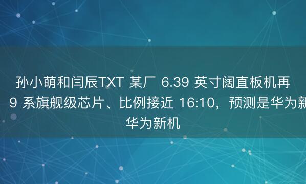 孙小萌和闫辰TXT 某厂 6.39 英寸阔直板机再曝：9 系旗舰级芯片、比例接近 16:10，预测是华为新机