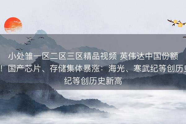 小处雏一区二区三区精品视频 英伟达中国份额降至0！国产芯片、存储集体暴涨：海光、寒武纪等创历史新高
