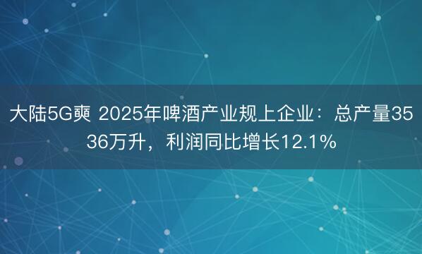 大陆5G奭 2025年啤酒产业规上企业：总产量3536万升，利润同比增长12.1%