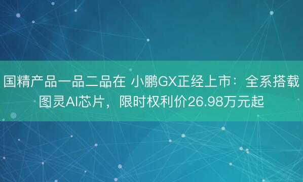国精产品一品二品在 小鹏GX正经上市：全系搭载图灵AI芯片，限时权利价26.98万元起
