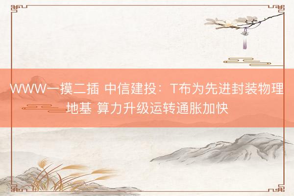 WWW一摸二插 中信建投：T布为先进封装物理地基 算力升级运转通胀加快