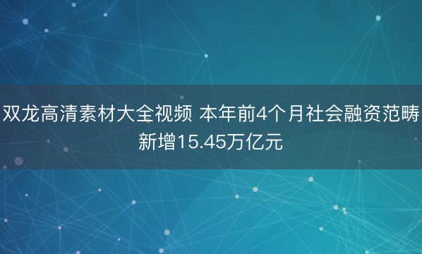 双龙高清素材大全视频 本年前4个月社会融资范畴新增15.45万亿元
