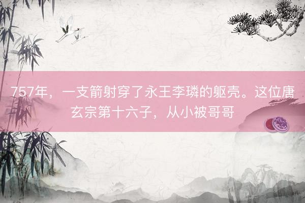 757年，一支箭射穿了永王李璘的躯壳。这位唐玄宗第十六子，从小被哥哥