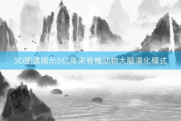 3D图谱揭示5亿年来脊椎动物大脑演化模式